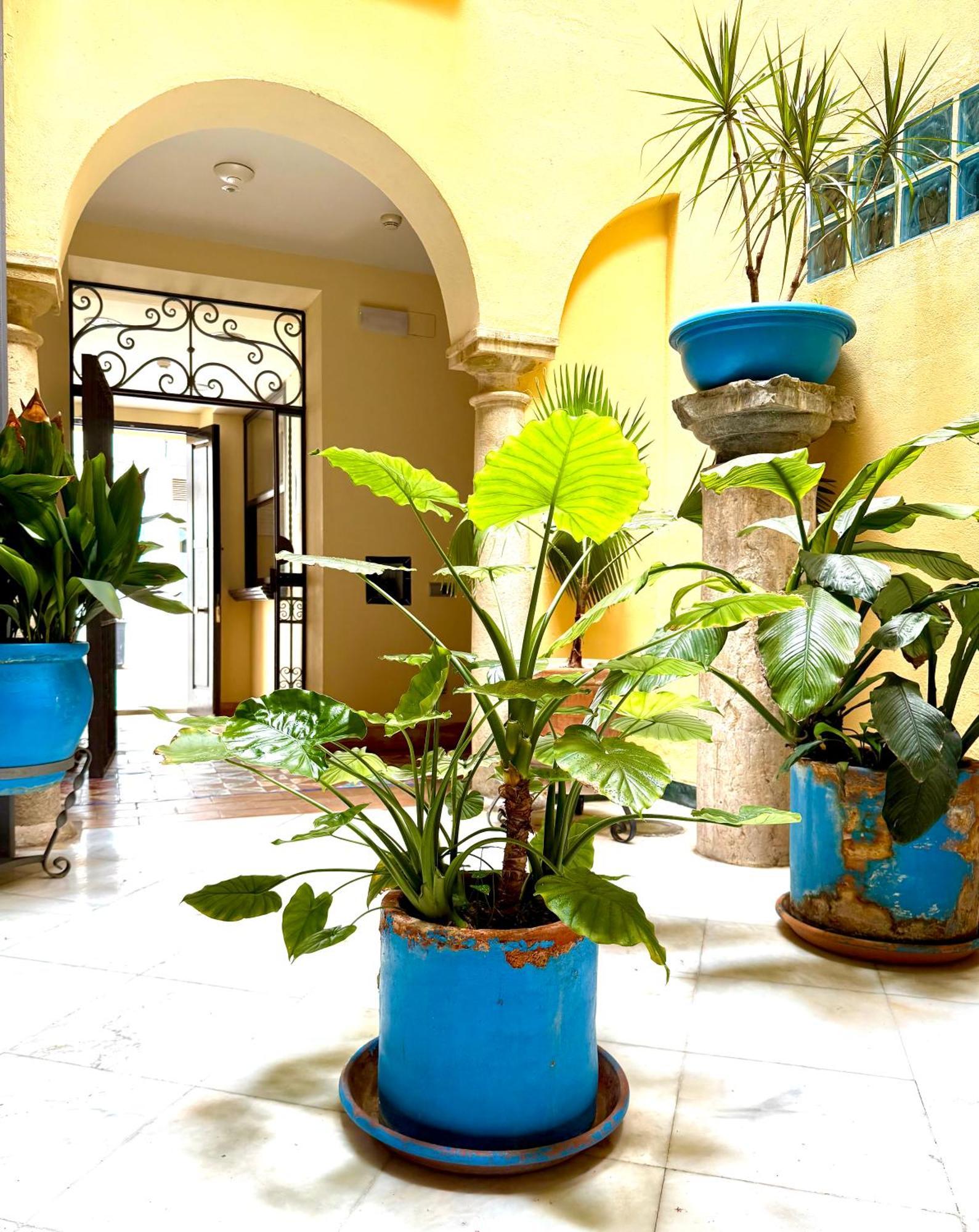 Hotel Conde De Cárdenas